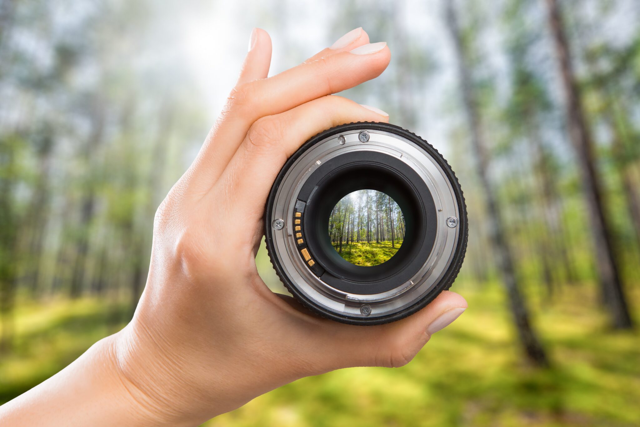 Hand holding a camera lens focusing on a forest scene.