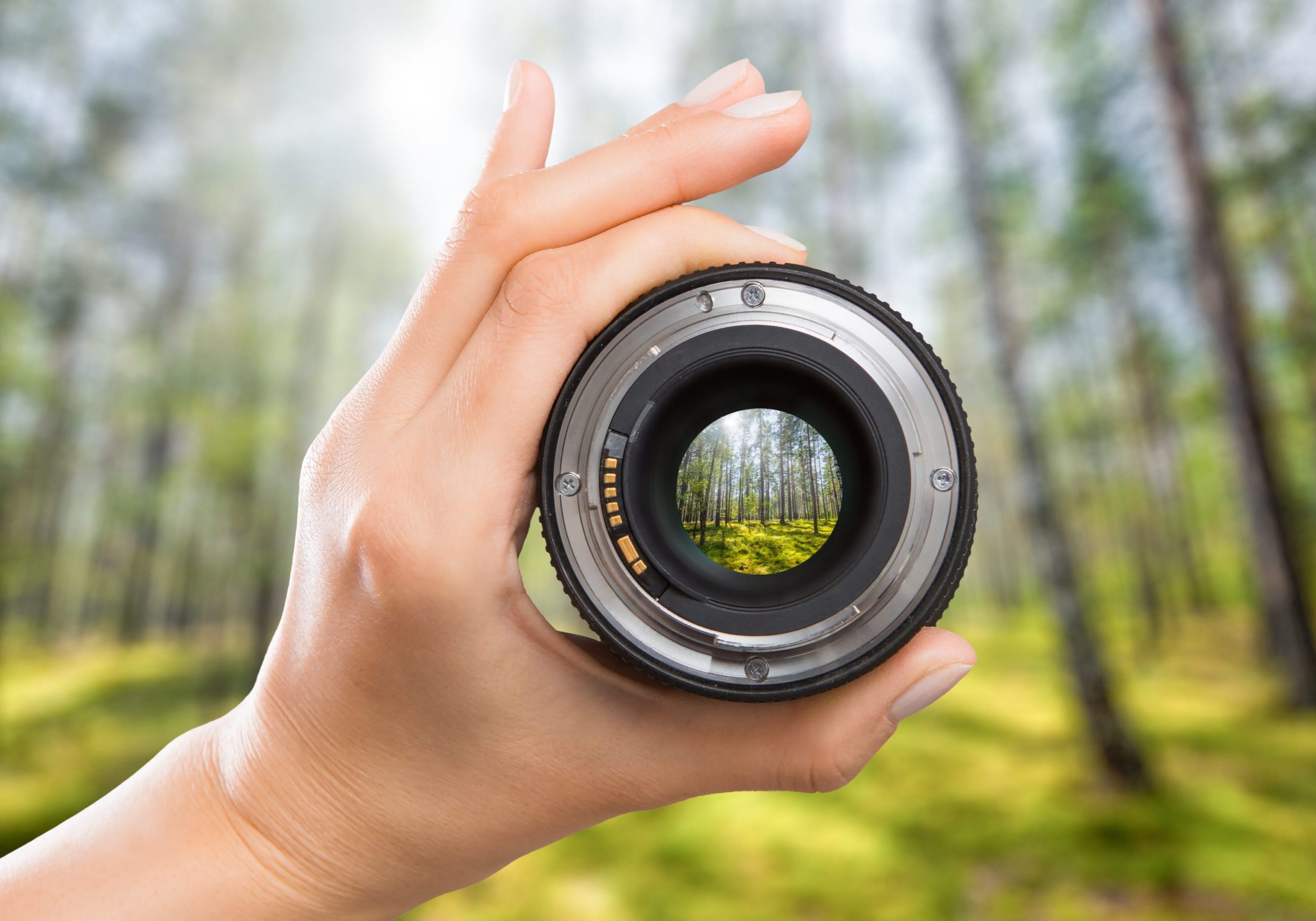 Hand holding a camera lens focusing on a forest scene.